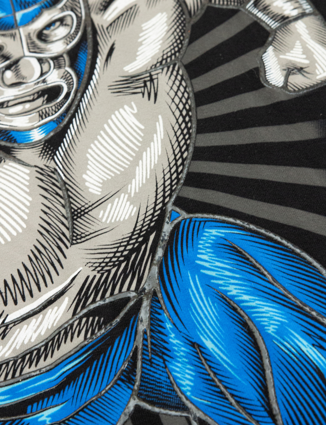 Blue Demon Jr. 8